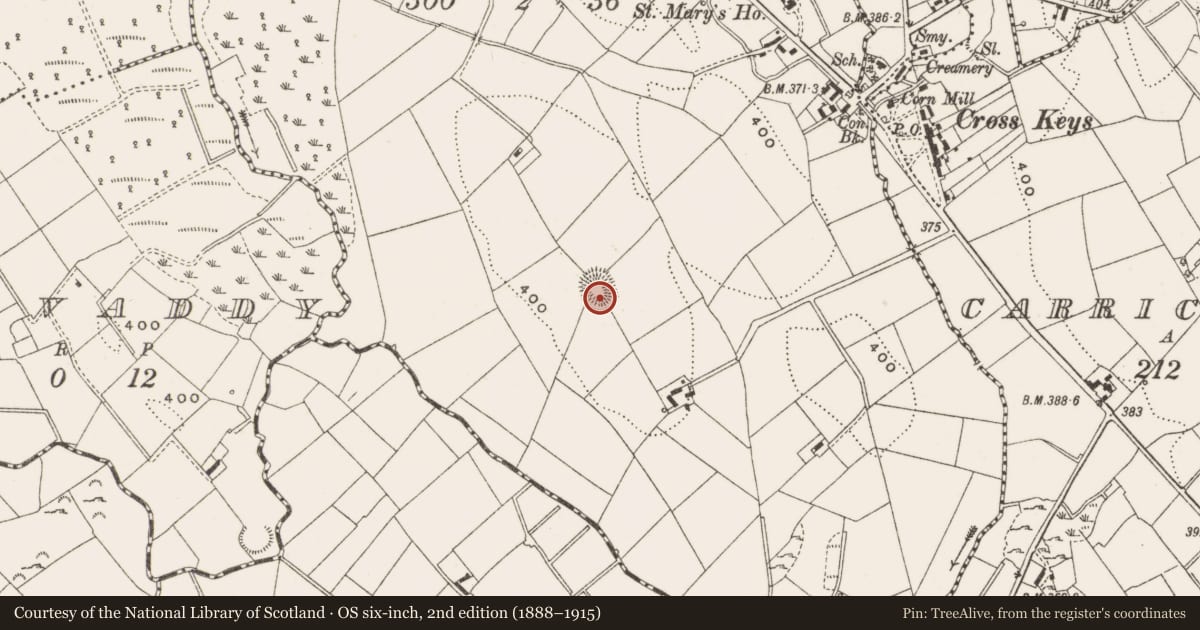 Ordnance Survey six-inch map, 2nd edition (1888–1915) covering the location of Ringfort - rath, Lonnogs, County Cavan, with a pin at the register's coordinates