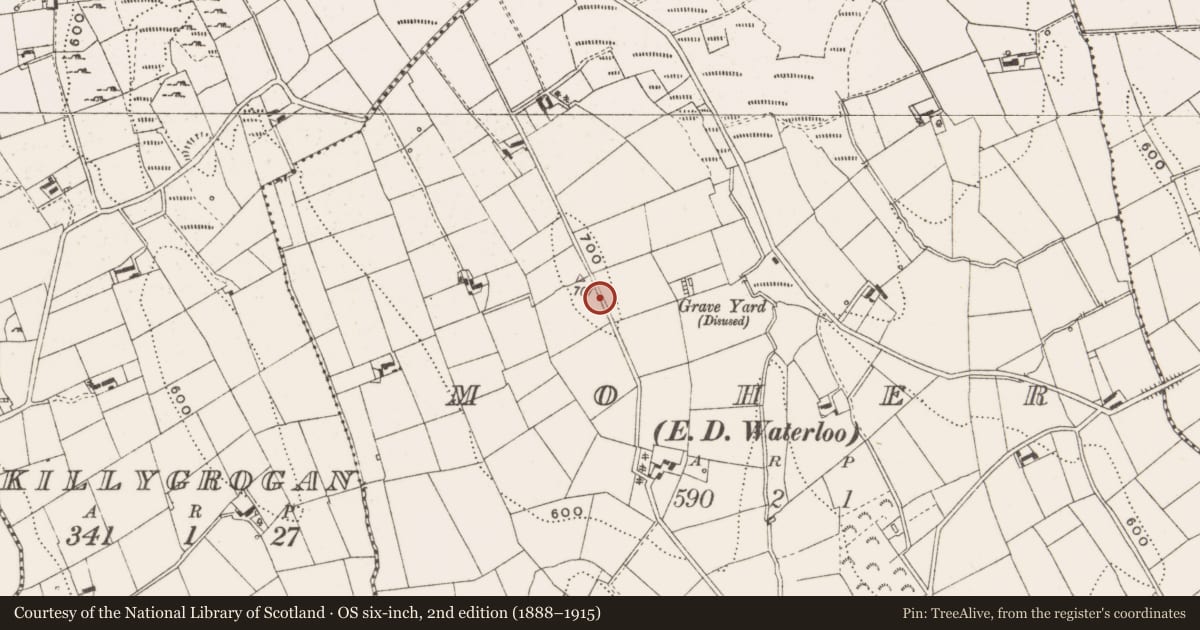 Ordnance Survey six-inch map, 2nd edition (1888–1915) covering the location of Graveyard, Moher, County Cavan, with a pin at the register's coordinates
