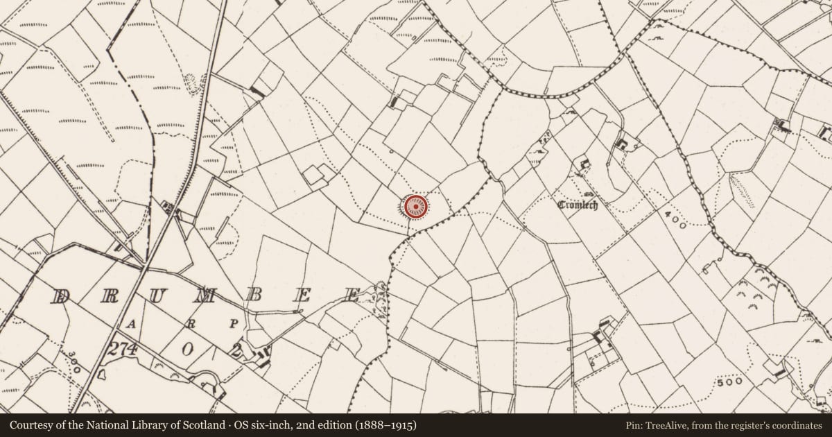 Ordnance Survey six-inch map, 2nd edition (1888–1915) covering the location of Enclosure, Mullacastle, County Cavan, with a pin at the register's coordinates