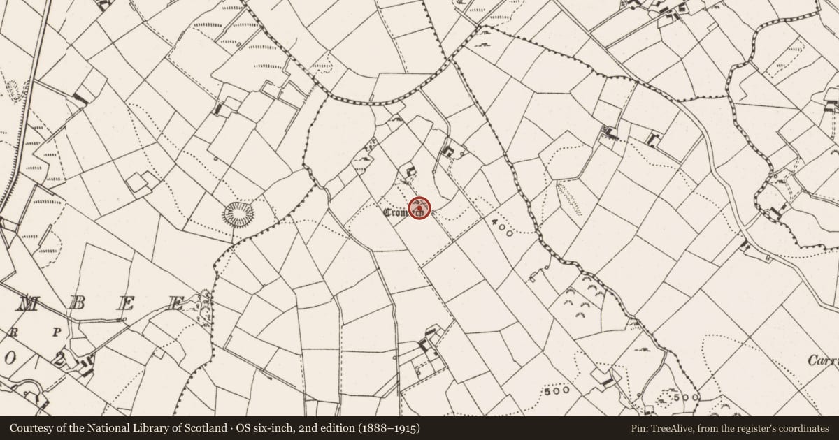 Ordnance Survey six-inch map, 2nd edition (1888–1915) covering the location of Megalithic tomb - court tomb, Mullacastle, County Cavan, with a pin at the register's coordinates