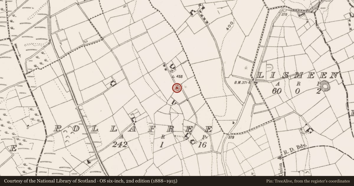 Ordnance Survey six-inch map, 2nd edition (1888–1915) covering the location of Ringfort - rath, Pollafree, County Cavan, with a pin at the register's coordinates