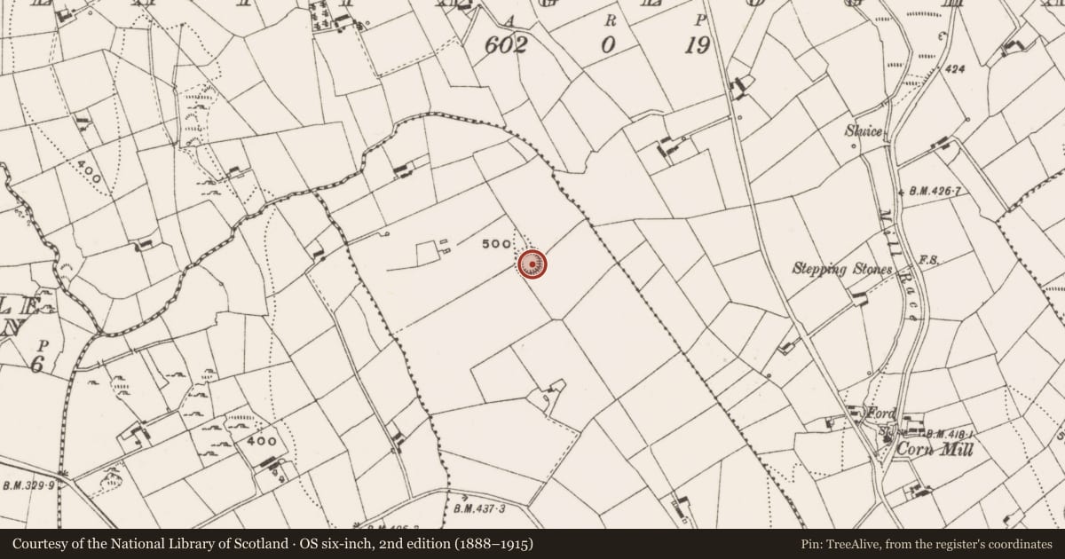 Ordnance Survey six-inch map, 2nd edition (1888–1915) covering the location of Ringfort - rath, Ranrenagh, County Cavan, with a pin at the register's coordinates