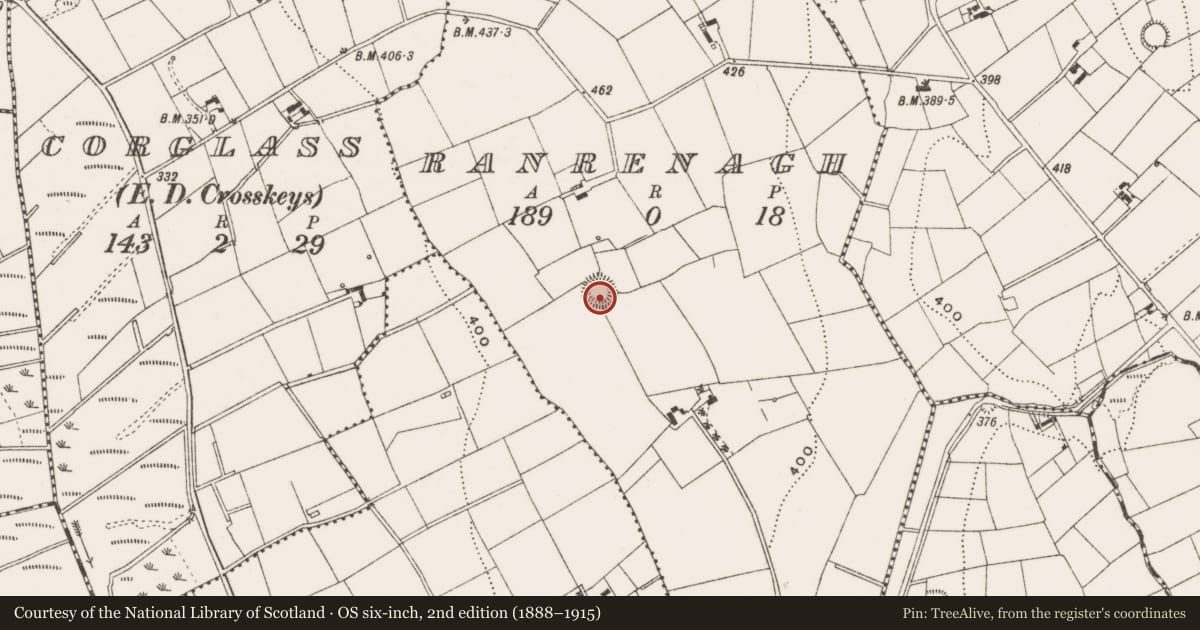 Ordnance Survey six-inch map, 2nd edition (1888–1915) covering the location of Ringfort - rath, Ranrenagh, County Cavan, with a pin at the register's coordinates