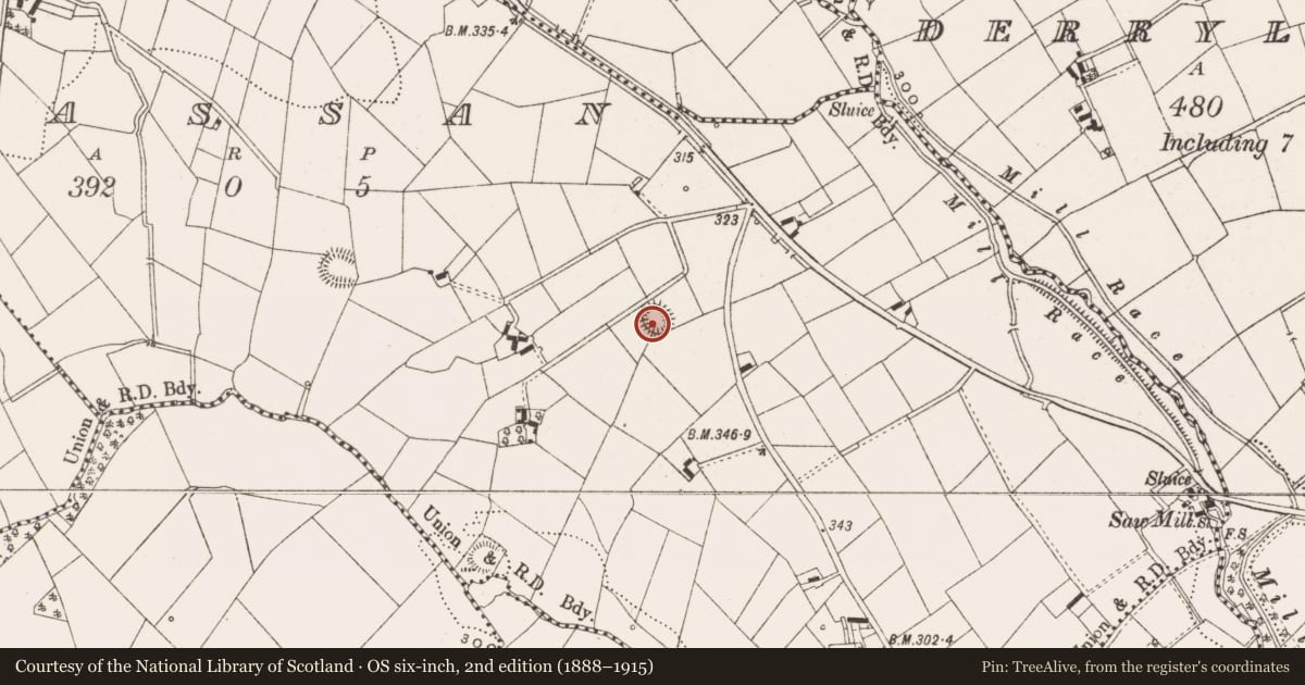 Ordnance Survey six-inch map, 2nd edition (1888–1915) covering the location of Ringfort - rath, Rassan, County Cavan, with a pin at the register's coordinates