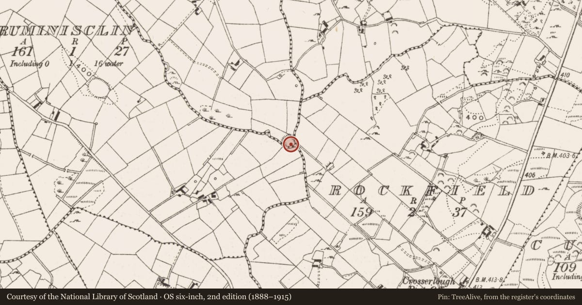 Ordnance Survey six-inch map, 2nd edition (1888–1915) covering the location of Ringfort - rath, Sallaghill, County Cavan, with a pin at the register's coordinates