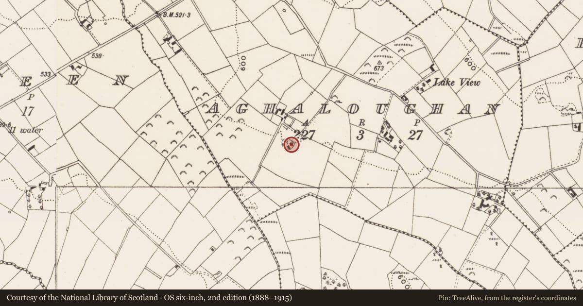 Ordnance Survey six-inch map, 2nd edition (1888–1915) covering the location of Designed landscape - tree-ring, Aghaloughan, County Cavan, with a pin at the register's coordinates