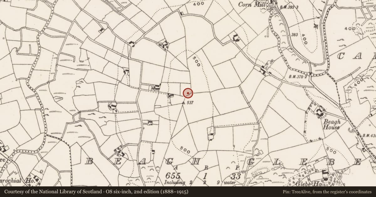 Ordnance Survey six-inch map, 2nd edition (1888–1915) covering the location of Ringfort - rath, Beagh Glebe, County Cavan, with a pin at the register's coordinates