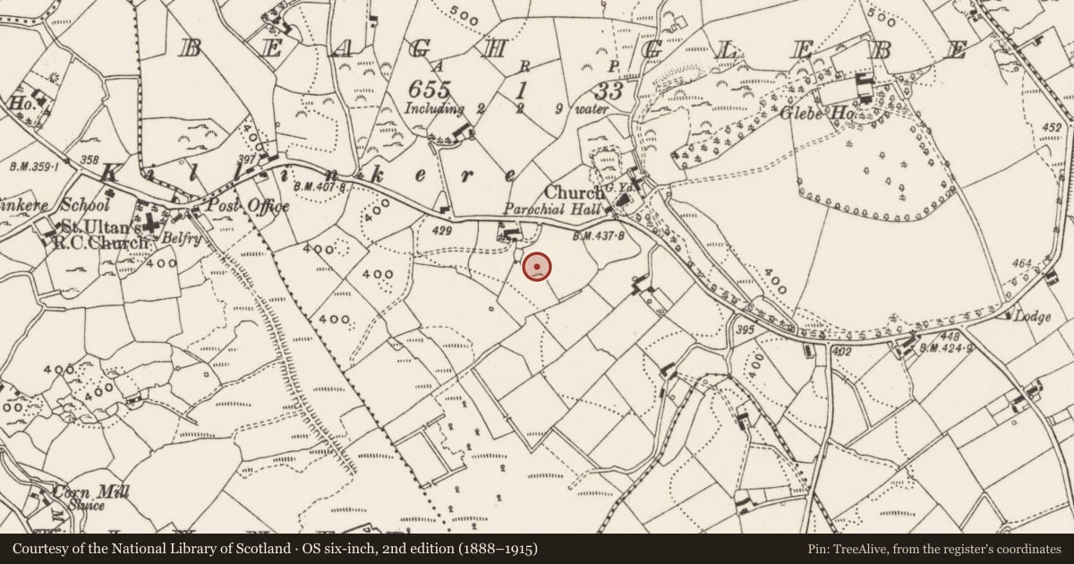 Ordnance Survey six-inch map, 2nd edition (1888–1915) covering the location of Enclosure, Beagh Glebe, County Cavan, with a pin at the register's coordinates
