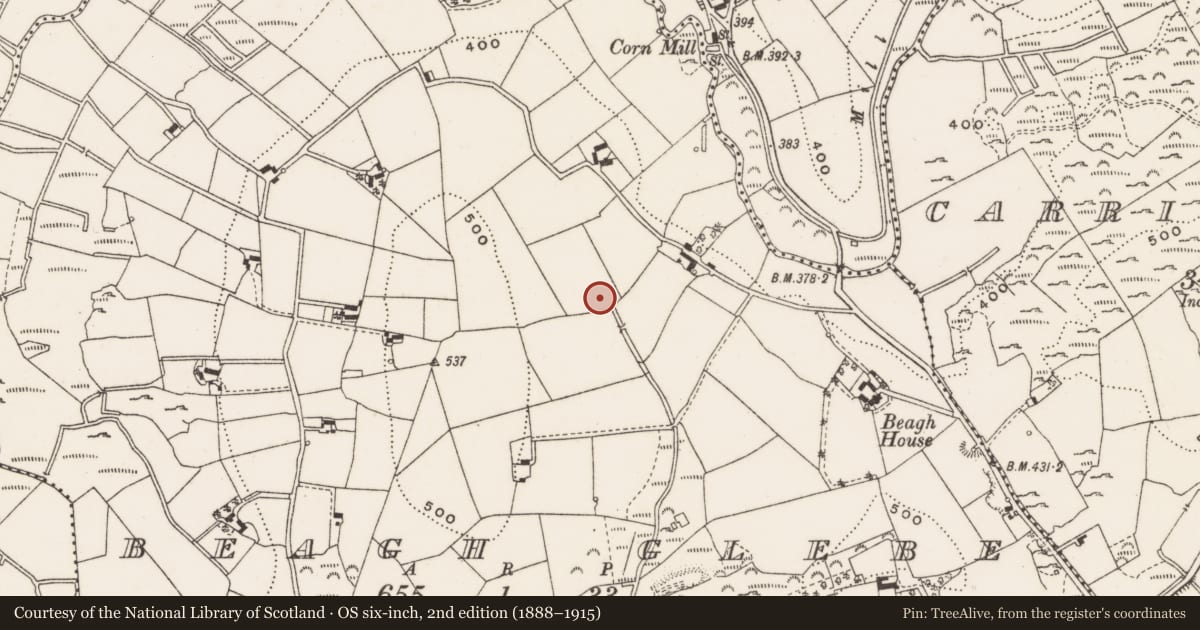 Ordnance Survey six-inch map, 2nd edition (1888–1915) covering the location of Enclosure, Beagh Glebe, County Cavan, with a pin at the register's coordinates