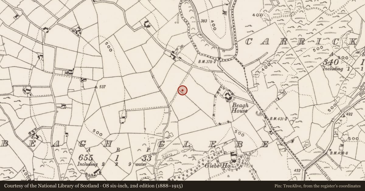 Ordnance Survey six-inch map, 2nd edition (1888–1915) covering the location of Ringfort - rath, Beagh Glebe, County Cavan, with a pin at the register's coordinates