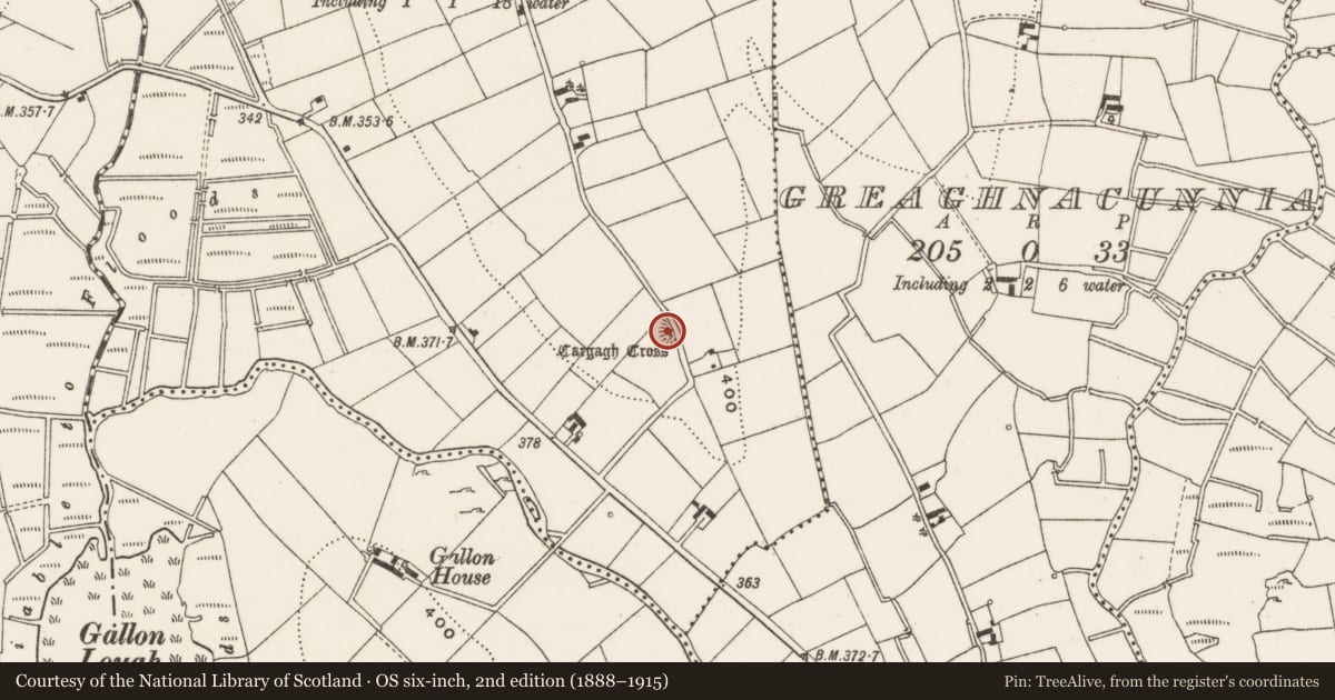 Ordnance Survey six-inch map, 2nd edition (1888–1915) covering the location of Ringfort - rath, Cargagh, County Cavan, with a pin at the register's coordinates