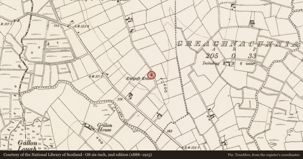 Ordnance Survey six-inch map, 2nd edition (1888–1915) covering the location of Cross, Cargagh, County Cavan, with a pin at the register's coordinates