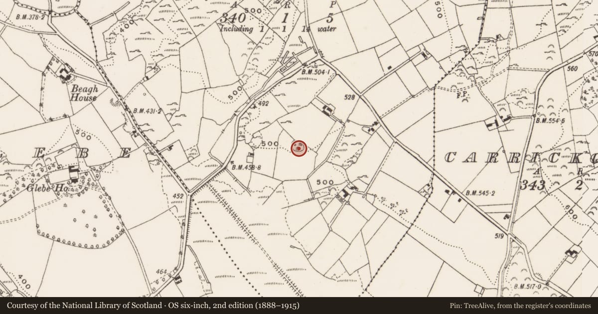 Ordnance Survey six-inch map, 2nd edition (1888–1915) covering the location of Ringfort - rath, Carricknaveagh, County Cavan, with a pin at the register's coordinates