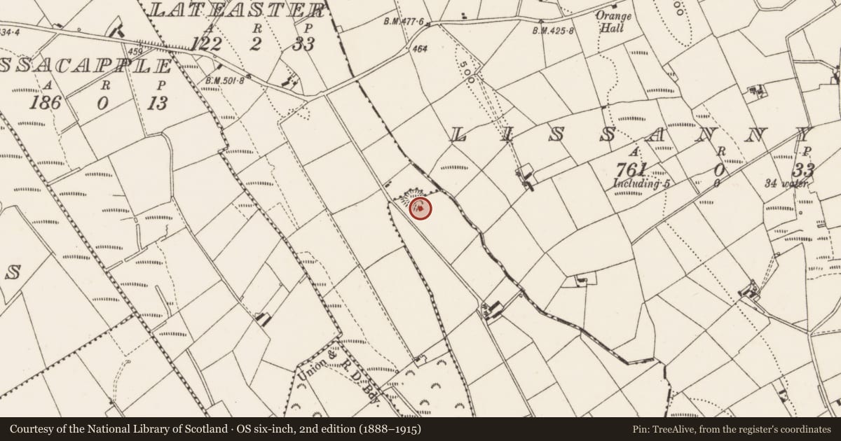 Ordnance Survey six-inch map, 2nd edition (1888–1915) covering the location of Ringfort - rath, Corraneden, County Cavan, with a pin at the register's coordinates
