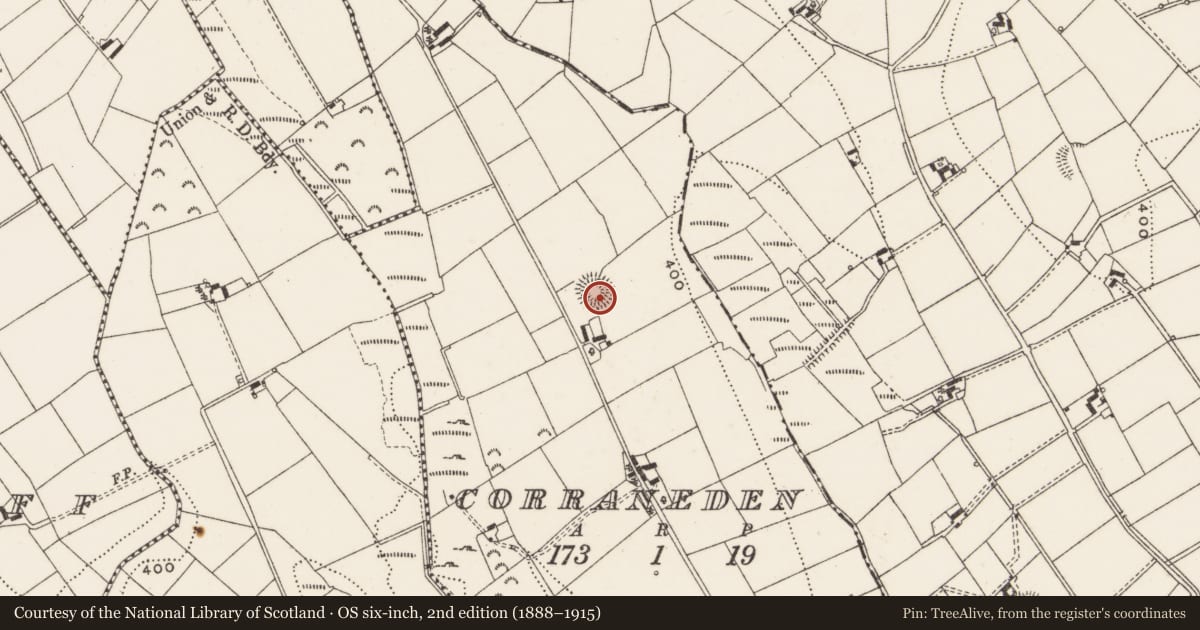 Ordnance Survey six-inch map, 2nd edition (1888–1915) covering the location of Ringfort - rath, Corraneden, County Cavan, with a pin at the register's coordinates