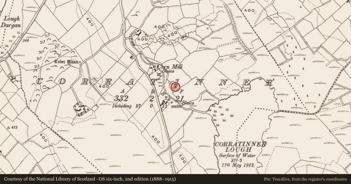 Ordnance Survey six-inch map, 2nd edition (1888–1915) covering the location of Ringfort - rath, Corratinner, County Cavan, with a pin at the register's coordinates