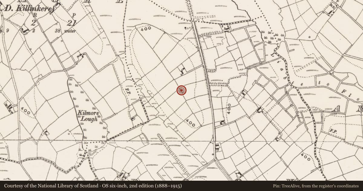 Ordnance Survey six-inch map, 2nd edition (1888–1915) covering the location of Ringfort - rath, Doon, County Cavan, with a pin at the register's coordinates