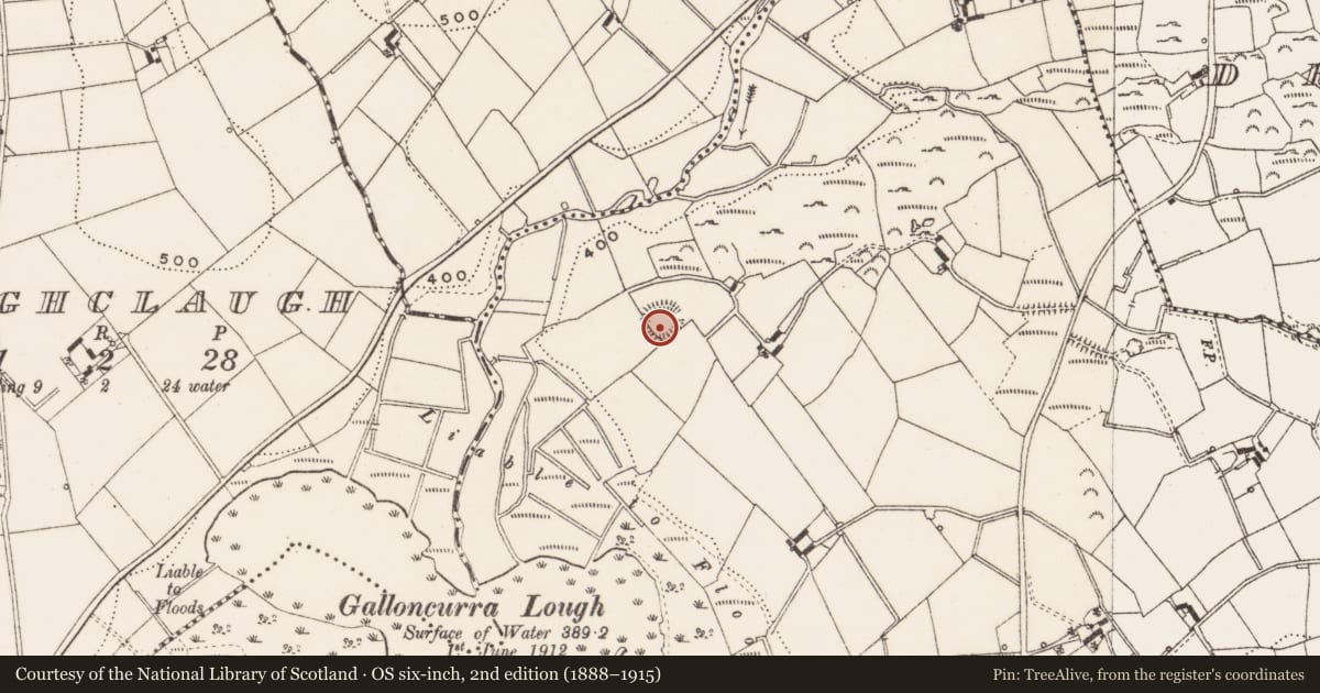 Ordnance Survey six-inch map, 2nd edition (1888–1915) covering the location of Ringfort - rath, Dromore, County Cavan, with a pin at the register's coordinates