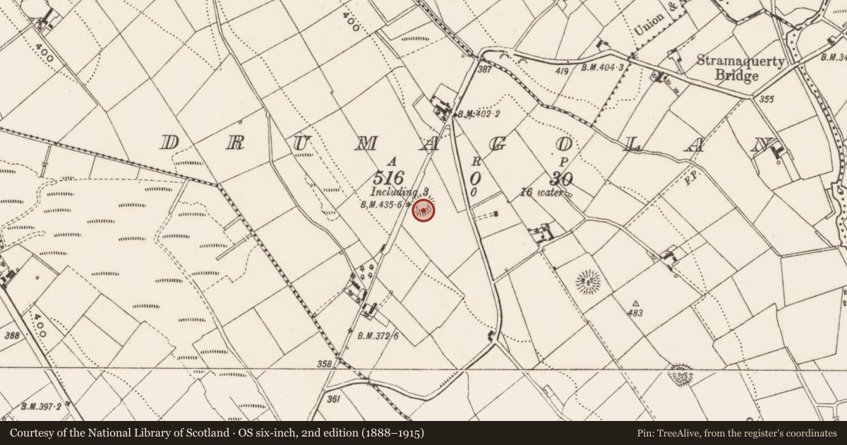Ordnance Survey six-inch map, 2nd edition (1888–1915) covering the location of Ringfort - rath, Drumagolan, County Cavan, with a pin at the register's coordinates