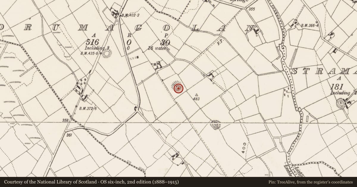 Ordnance Survey six-inch map, 2nd edition (1888–1915) covering the location of Ringfort - rath, Drumagolan, County Cavan, with a pin at the register's coordinates
