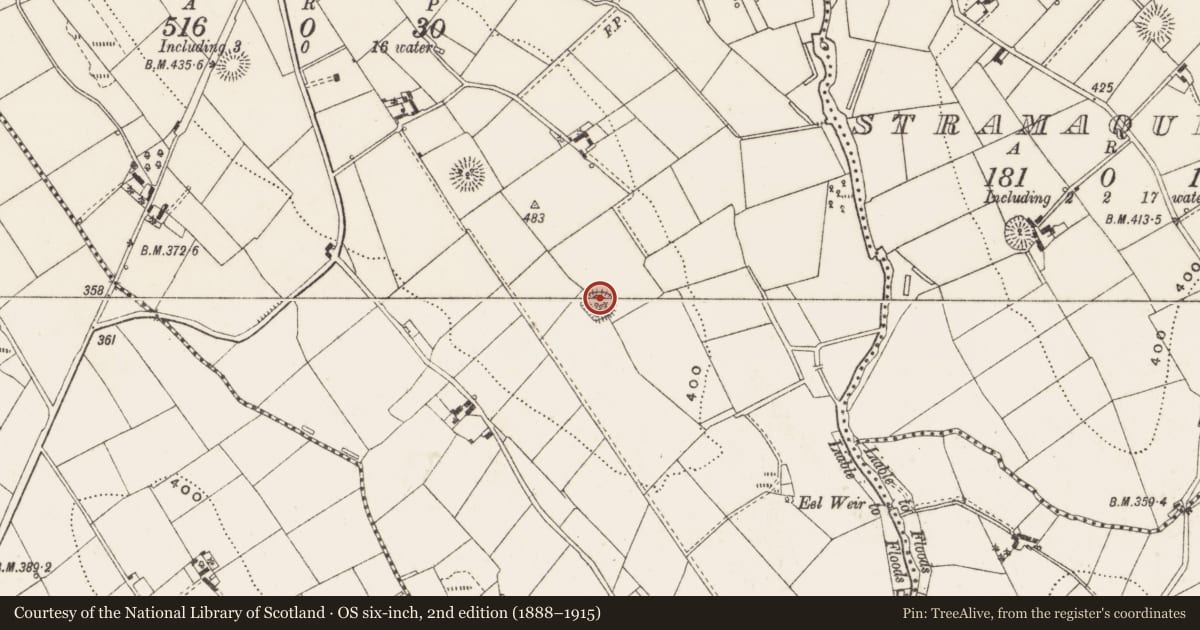 Ordnance Survey six-inch map, 2nd edition (1888–1915) covering the location of Ringfort - rath, Drumagolan, County Cavan, with a pin at the register's coordinates