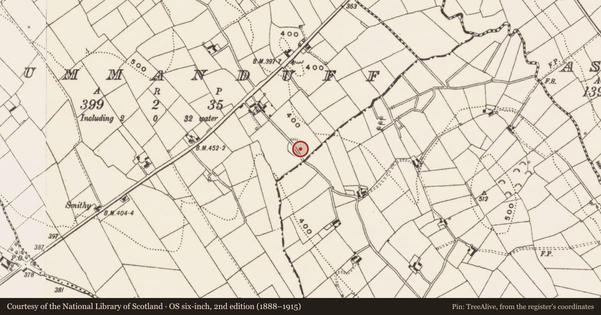 Ordnance Survey six-inch map, 2nd edition (1888–1915) covering the location of Ringfort - rath, Drummanduff, County Cavan, with a pin at the register's coordinates