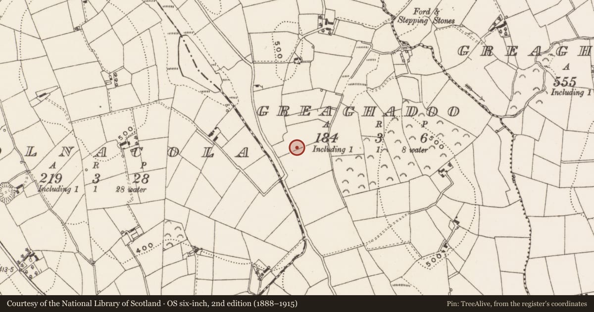 Ordnance Survey six-inch map, 2nd edition (1888–1915) covering the location of Ringfort - rath, Greaghadoo, County Cavan, with a pin at the register's coordinates
