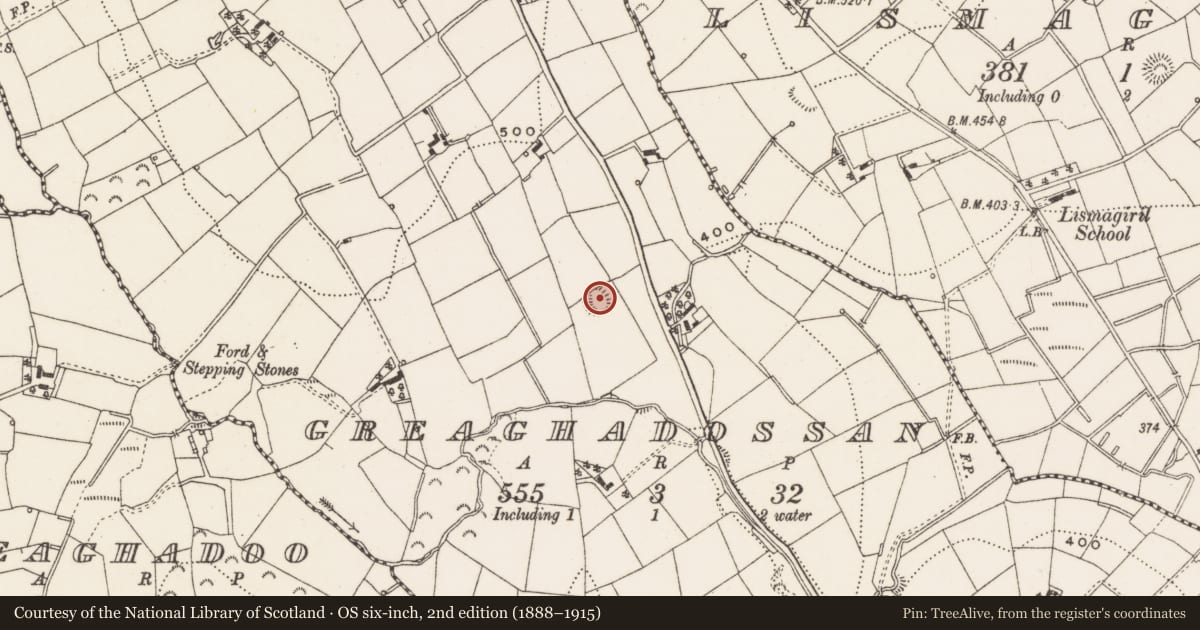 Ordnance Survey six-inch map, 2nd edition (1888–1915) covering the location of Ringfort - rath, Greaghadossan, County Cavan, with a pin at the register's coordinates