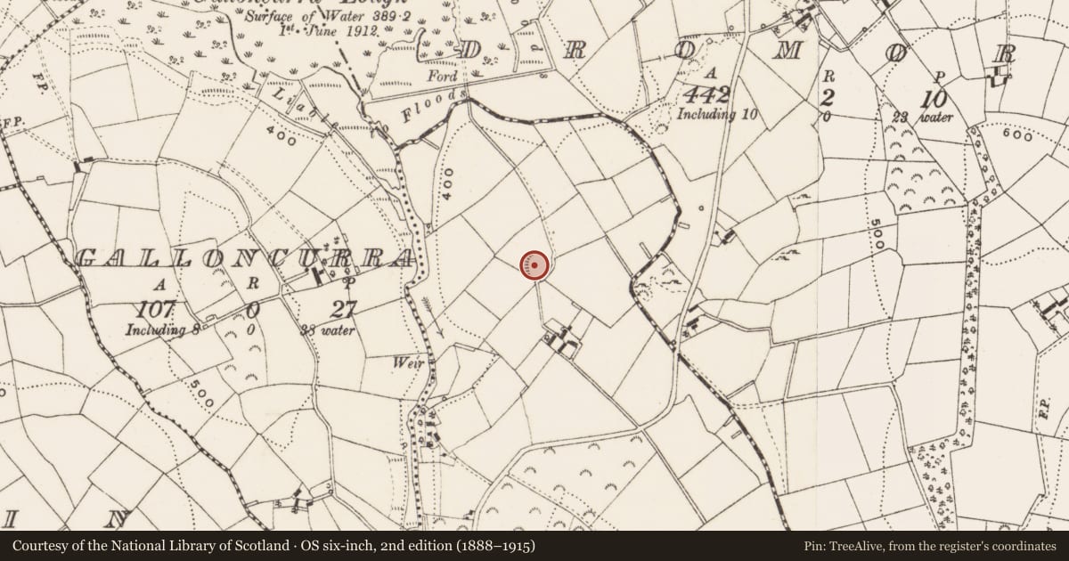 Ordnance Survey six-inch map, 2nd edition (1888–1915) covering the location of Ringfort - rath, Greaghduff, County Cavan, with a pin at the register's coordinates