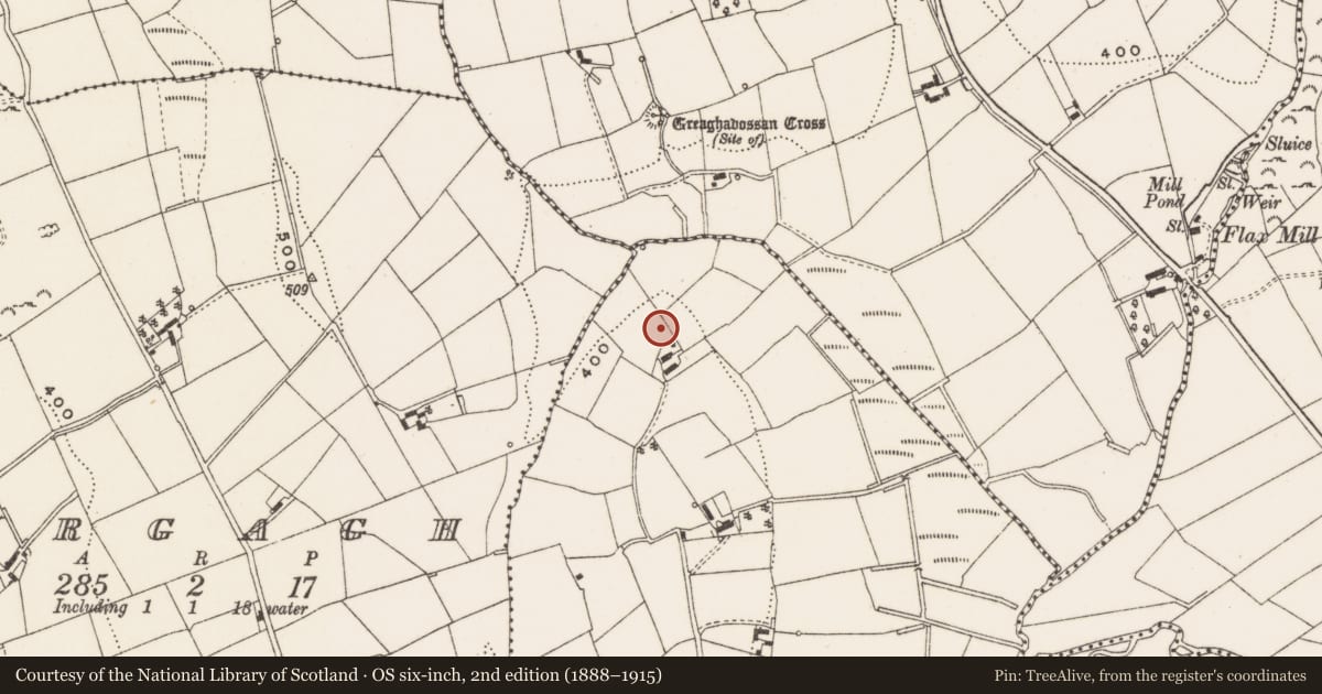 Ordnance Survey six-inch map, 2nd edition (1888–1915) covering the location of Ringfort - rath, Greaghnacunnia, County Cavan, with a pin at the register's coordinates