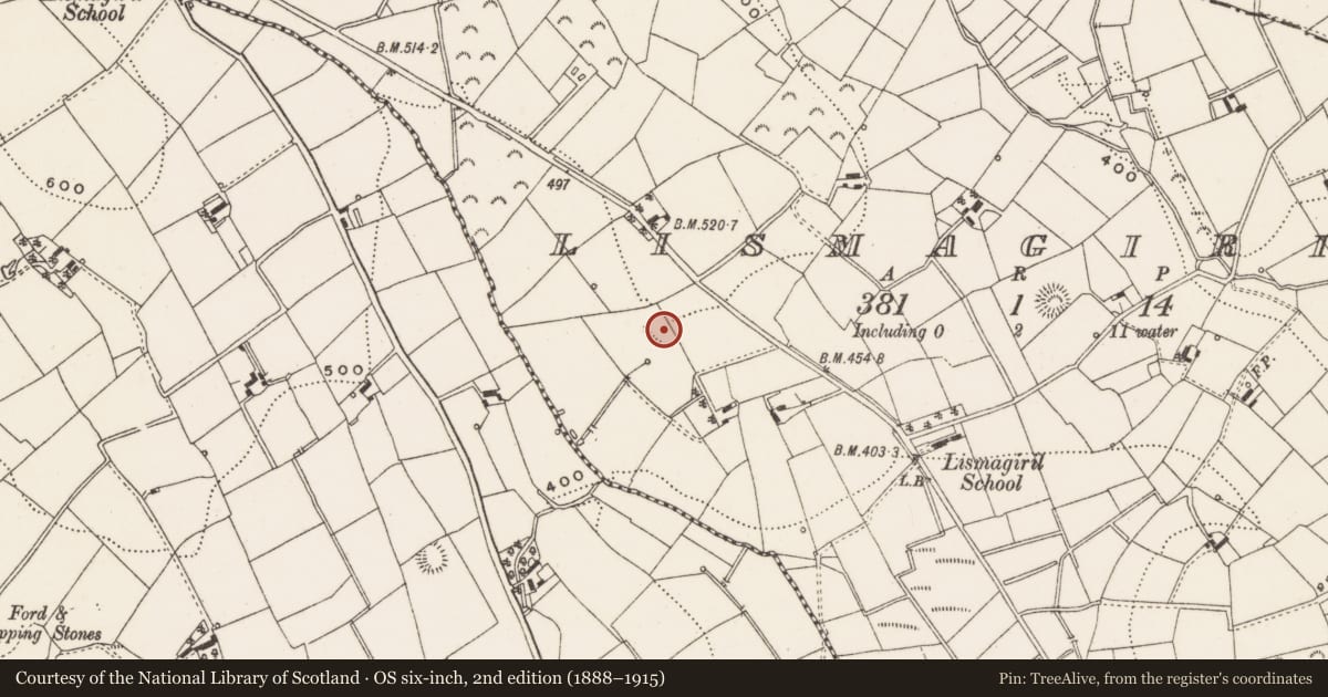 Ordnance Survey six-inch map, 2nd edition (1888–1915) covering the location of Ringfort - rath, Lismagiril, County Cavan, with a pin at the register's coordinates