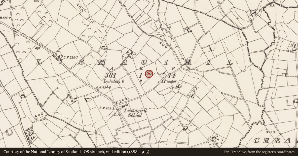 Ordnance Survey six-inch map, 2nd edition (1888–1915) covering the location of Ringfort - rath, Lismagiril, County Cavan, with a pin at the register's coordinates
