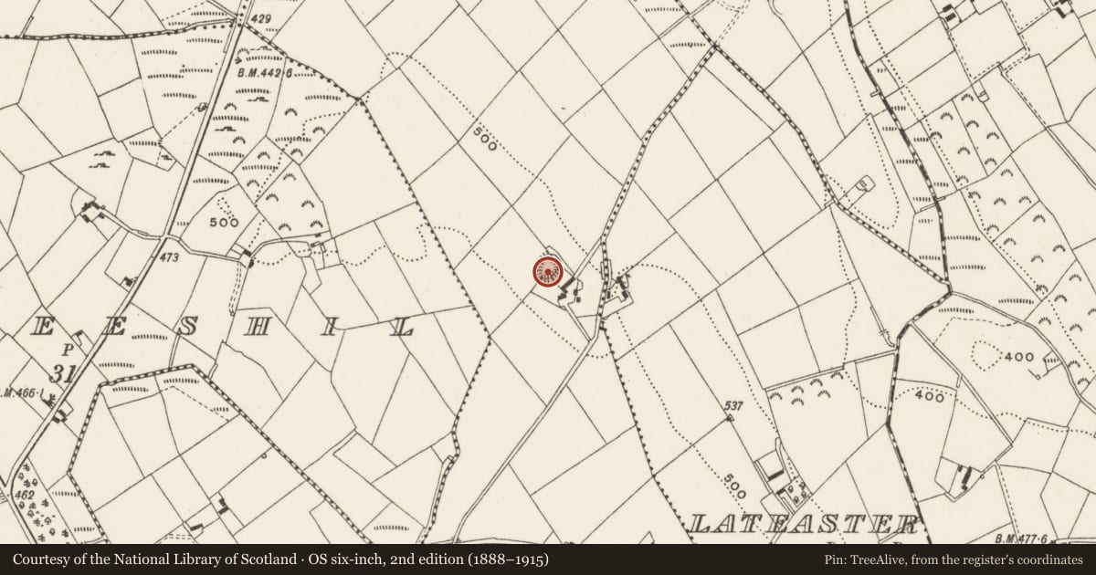 Ordnance Survey six-inch map, 2nd edition (1888–1915) covering the location of Ringfort - rath, Lissacapple, County Cavan, with a pin at the register's coordinates