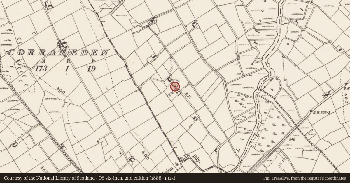 Ordnance Survey six-inch map, 2nd edition (1888–1915) covering the location of Ringfort - rath, Lissannymore, County Cavan, with a pin at the register's coordinates