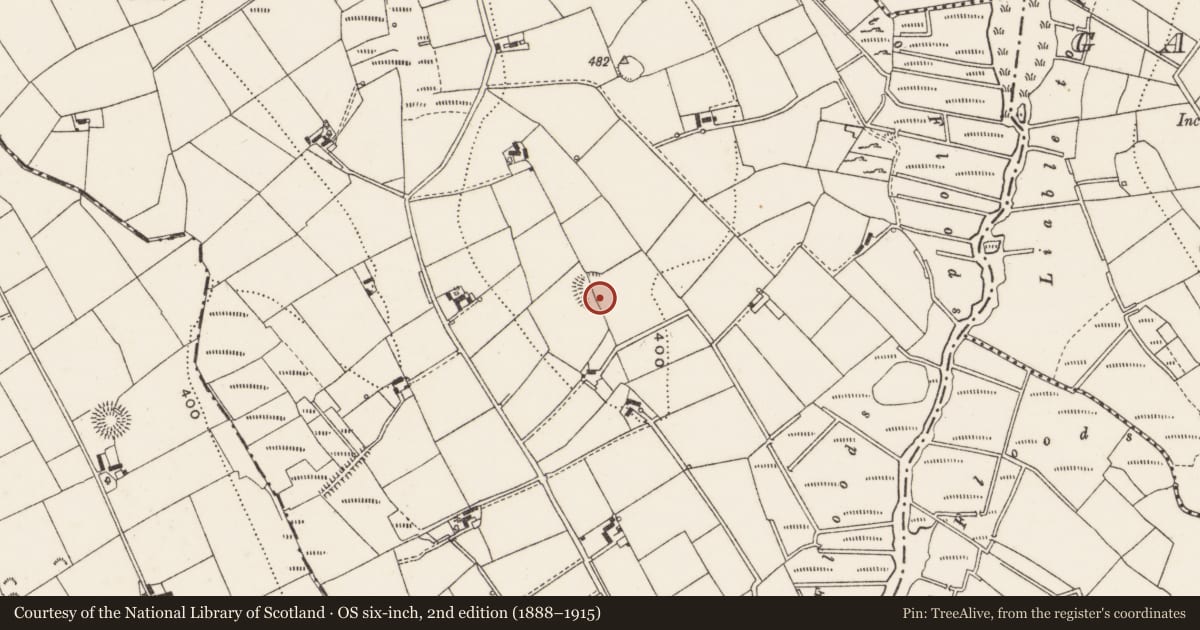 Ordnance Survey six-inch map, 2nd edition (1888–1915) covering the location of Ringfort - rath, Lissannymore, County Cavan, with a pin at the register's coordinates