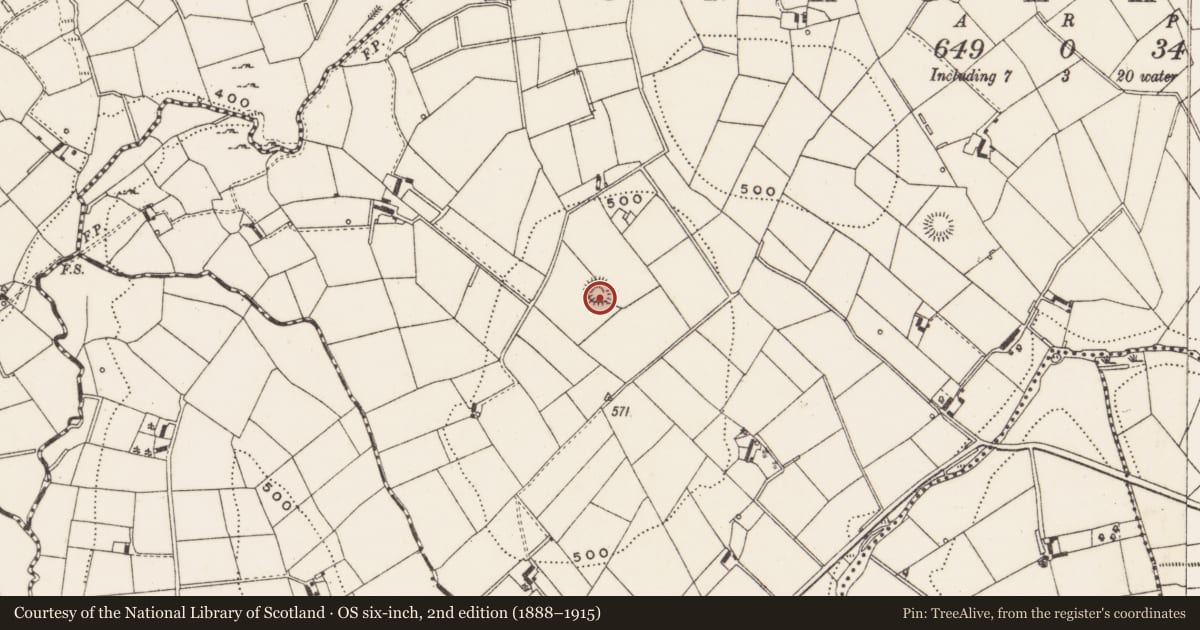 Ordnance Survey six-inch map, 2nd edition (1888–1915) covering the location of Ringfort - rath, Monaghanoose, County Cavan, with a pin at the register's coordinates
