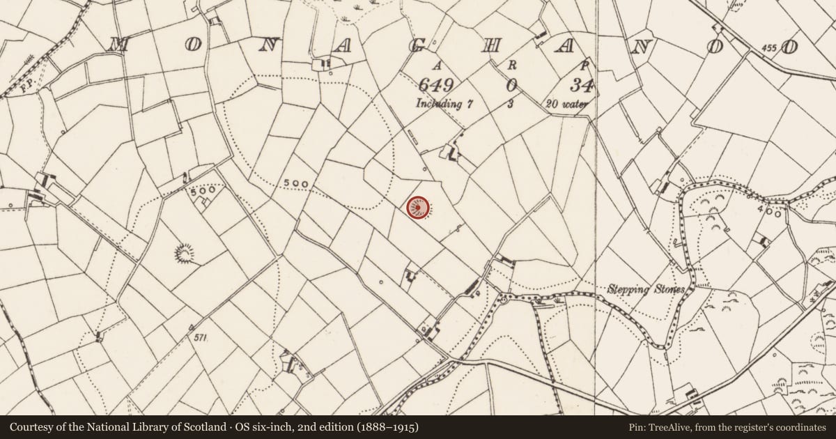 Ordnance Survey six-inch map, 2nd edition (1888–1915) covering the location of Ringfort - rath, Monaghanoose, County Cavan, with a pin at the register's coordinates