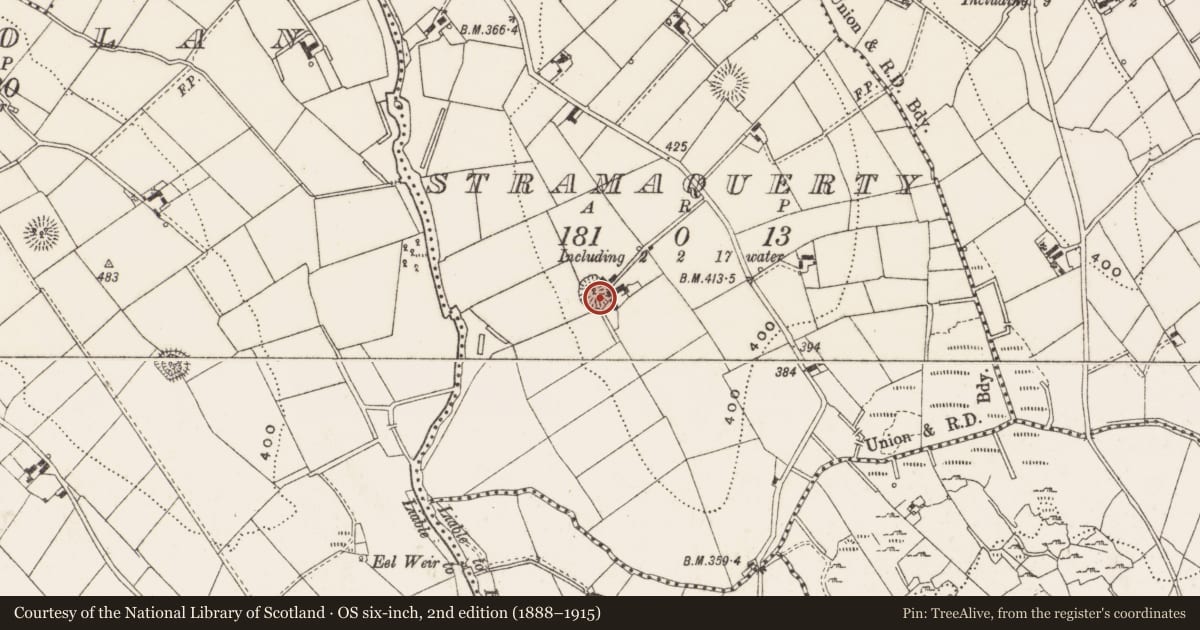 Ordnance Survey six-inch map, 2nd edition (1888–1915) covering the location of Ringfort - rath, Stramaquerty, County Cavan, with a pin at the register's coordinates