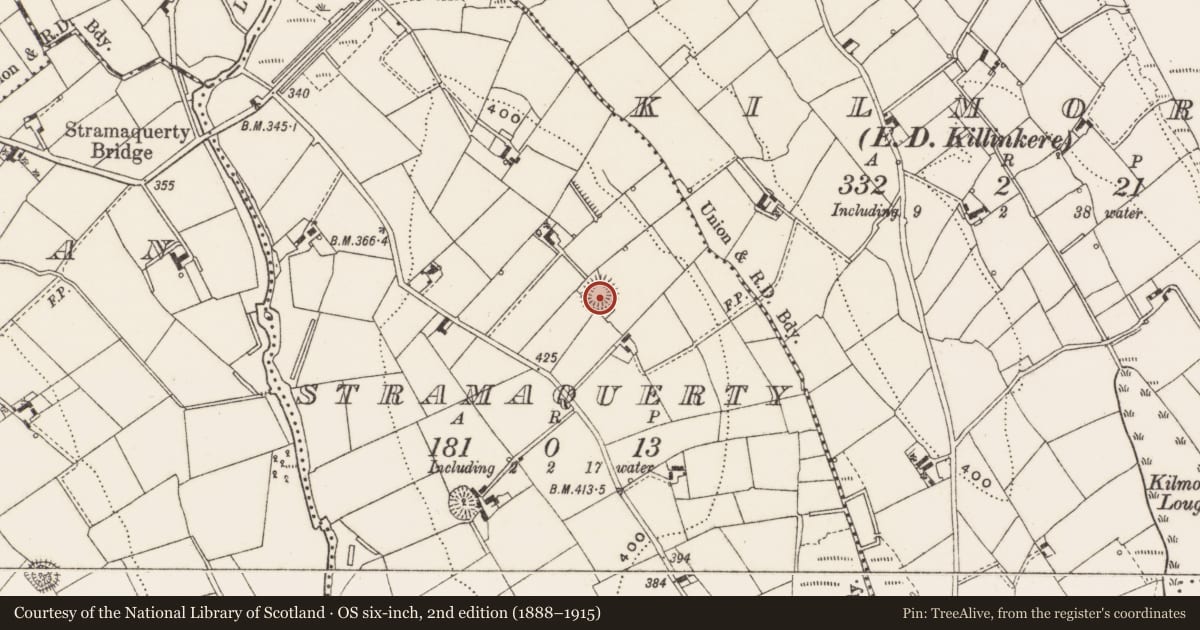 Ordnance Survey six-inch map, 2nd edition (1888–1915) covering the location of Ringfort - rath, Stramaquerty, County Cavan, with a pin at the register's coordinates
