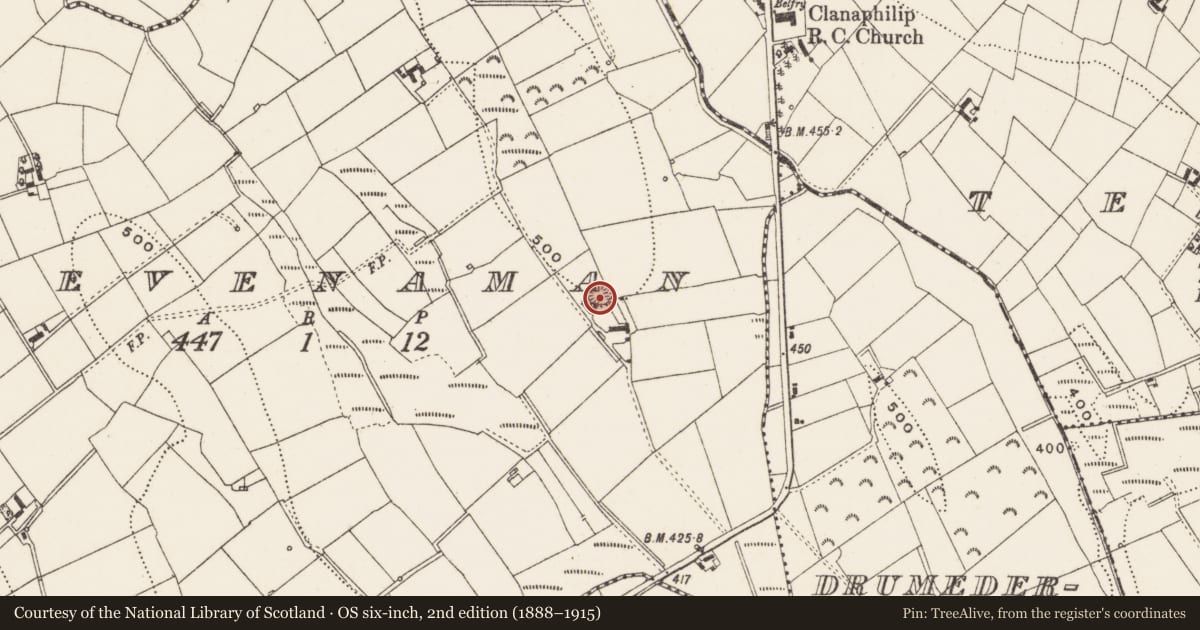Ordnance Survey six-inch map, 2nd edition (1888–1915) covering the location of Ringfort - rath, Tievenaman, County Cavan, with a pin at the register's coordinates