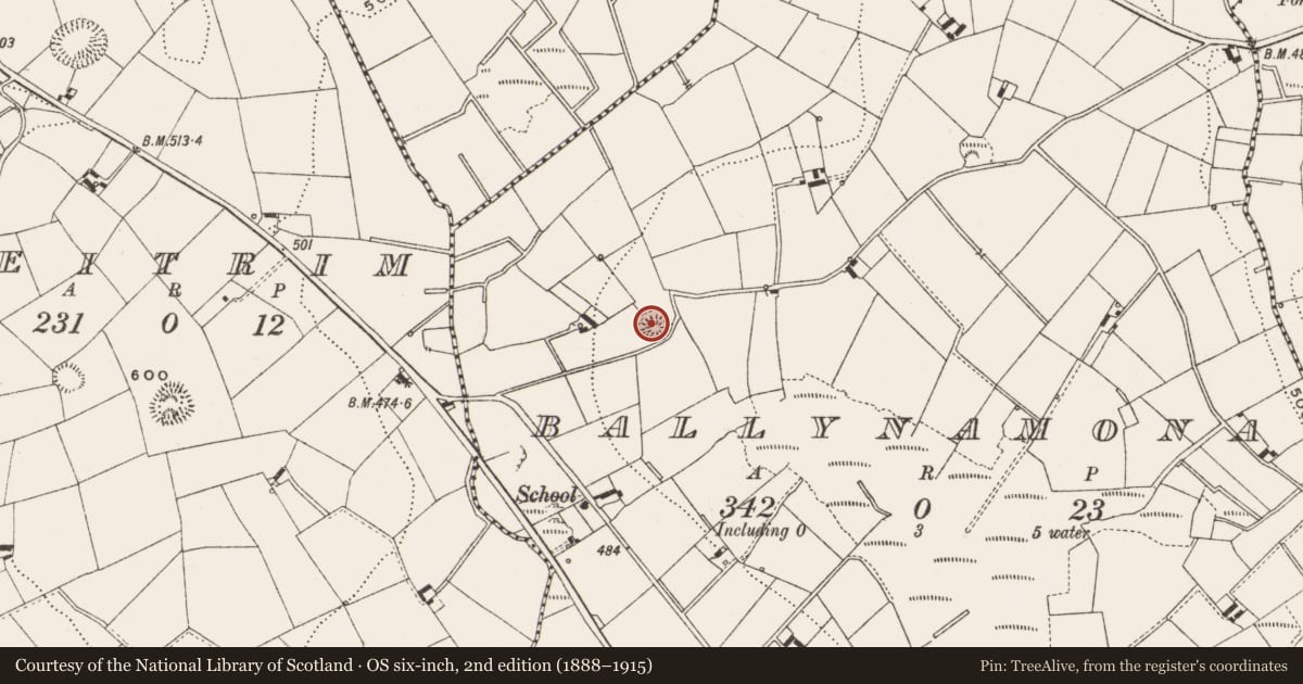 Ordnance Survey six-inch map, 2nd edition (1888–1915) covering the location of Ringfort - rath, Ballynamona, County Cavan, with a pin at the register's coordinates