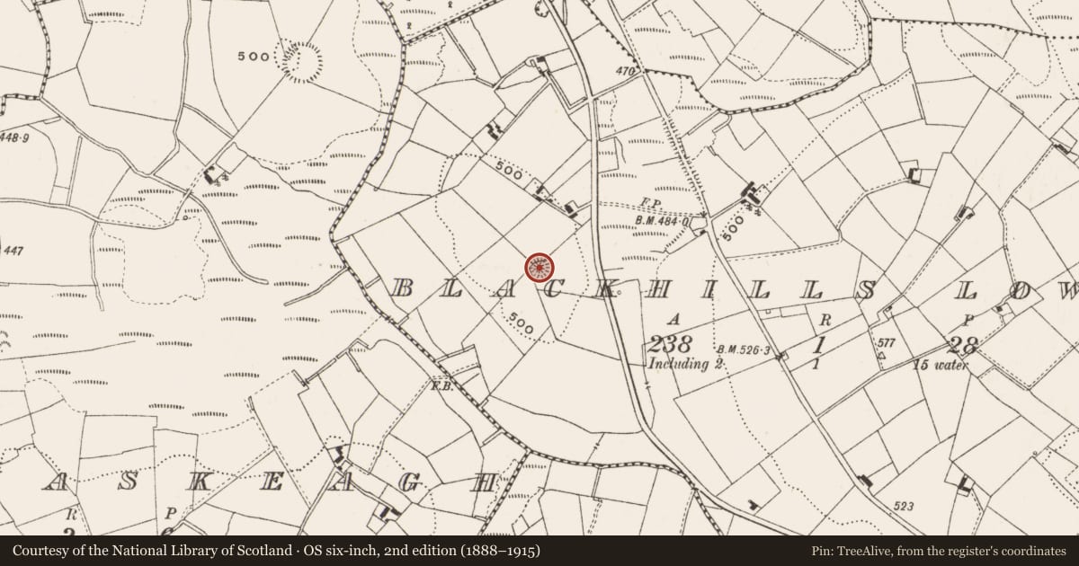 Ordnance Survey six-inch map, 2nd edition (1888–1915) covering the location of Ringfort - rath, Blackhills Lower, County Cavan, with a pin at the register's coordinates