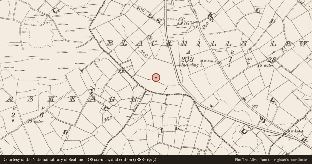 Ordnance Survey six-inch map, 2nd edition (1888–1915) covering the location of Barrow - unclassified, Blackhills Lower, County Cavan, with a pin at the register's coordinates