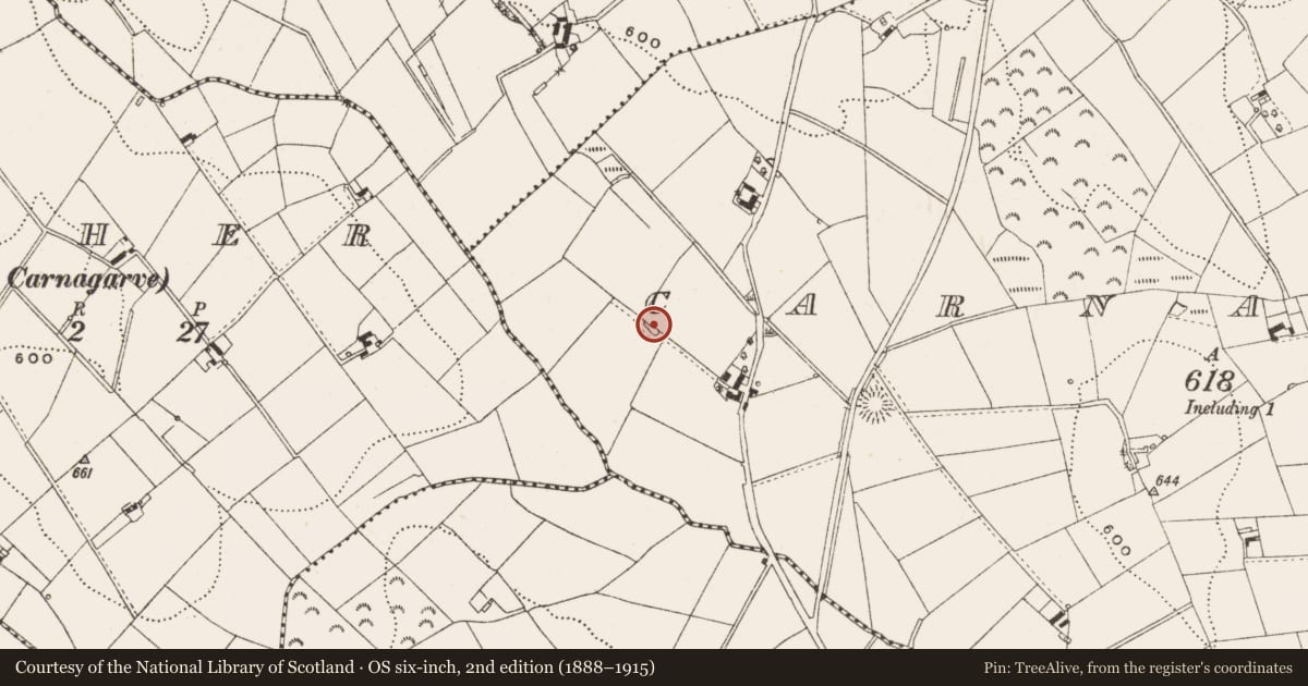 Ordnance Survey six-inch map, 2nd edition (1888–1915) covering the location of Ringfort - rath, Carnagarve, County Cavan, with a pin at the register's coordinates