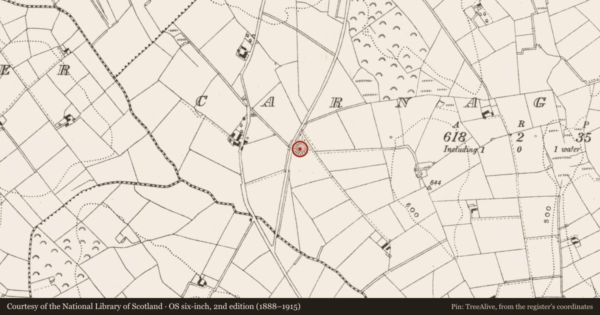 Ordnance Survey six-inch map, 2nd edition (1888–1915) covering the location of Ringfort - rath, Carnagarve, County Cavan, with a pin at the register's coordinates