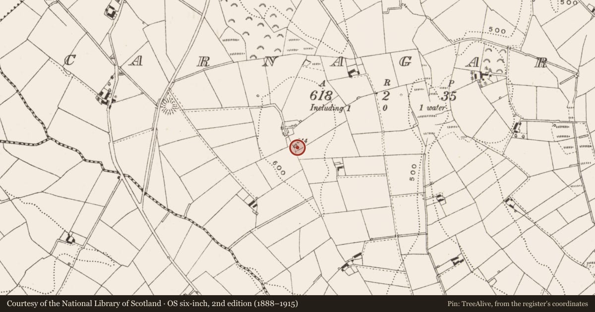 Ordnance Survey six-inch map, 2nd edition (1888–1915) covering the location of Cairn - unclassified, Carnagarve, County Cavan, with a pin at the register's coordinates