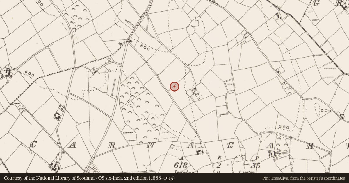 Ordnance Survey six-inch map, 2nd edition (1888–1915) covering the location of Cairn - unclassified, Carnagarve, County Cavan, with a pin at the register's coordinates
