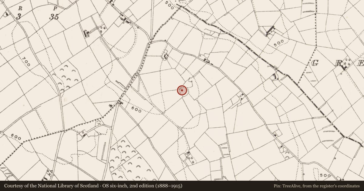 Ordnance Survey six-inch map, 2nd edition (1888–1915) covering the location of Ringfort - rath, Carnagarve, County Cavan, with a pin at the register's coordinates