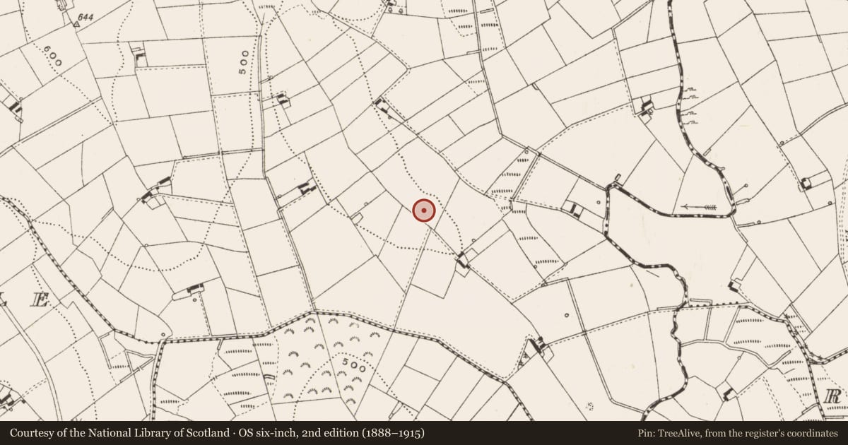 Ordnance Survey six-inch map, 2nd edition (1888–1915) covering the location of Ringfort - rath, Carnagarve, County Cavan, with a pin at the register's coordinates