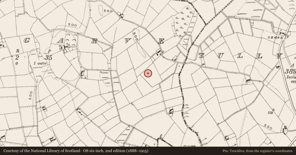 Ordnance Survey six-inch map, 2nd edition (1888–1915) covering the location of Cairn - unclassified, Carnagarve, County Cavan, with a pin at the register's coordinates